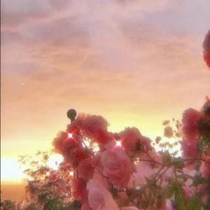 Meet your Posher, Deanna